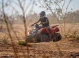 Half day Marrakech Quad biking experience
