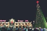 Magic Mexican Christmas Tour in Cancun