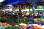 Bandar Seri & Water Village Tour (full day)