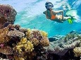 Snorkeling from Safaga