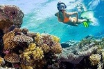 Snorkeling from Safaga