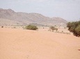 small Desert and Oasis Massa by minibus