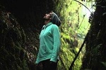 Yunguilla Cloud Forest Prívate Day Tour