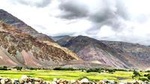 Join us for Kazbegi group tour