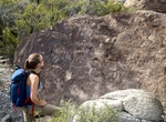 Visit Shooting Gallery Petroglyph Site & Red Pigment Canyon, Basin and Range National Monument, Nevada
