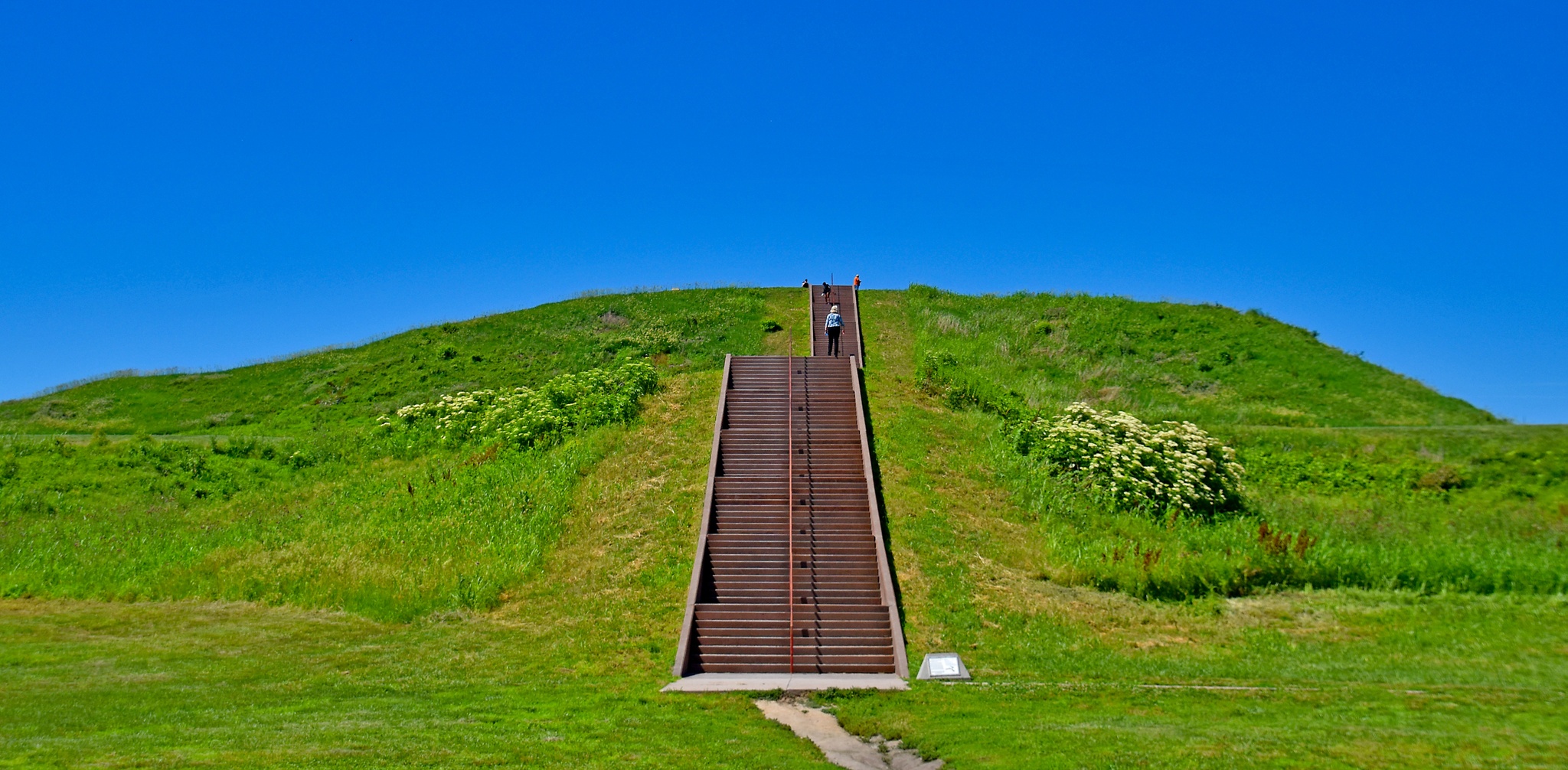 Cahokia Mounds State Historic Site
