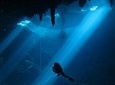 Diving in The Pit and Chikin Ha Cenotes