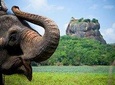4 Days Essence Of Sri Lanka