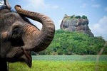 4 Days Essence Of Sri Lanka