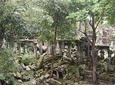 2 Days - Tour + Beng Mealea