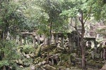 2 Days - Tour + Beng Mealea