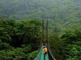 Monteverde Cloud Forest Suspension Bridges