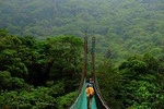 Monteverde Cloud Forest Suspension Bridges