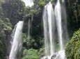 Best of Sekumpul Waterfall Trekking Tour
