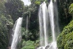 Best of Sekumpul Waterfall Trekking Tour