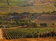 Organic Wine Tour Shamakhi with Local Lunch