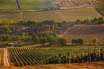Organic Wine Tour Shamakhi with Local Lunch