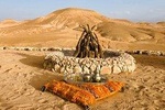 Desert Agafay & Atlas Mountains & Waterfalls & Valleys: Day Trip from Marrakech