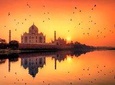 Taj Mahal & Agra Fort: Private Sunrise Tour from Delhi