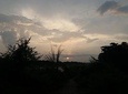 Jeep Safari in Chitwan ( whole day, 8-10 hrs.) inside the Chitwan National Park.