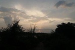 Jeep Safari in Chitwan ( whole day, 8-10 hrs.) inside the Chitwan National Park.