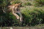 6 Days The Best of Tanzania Safari