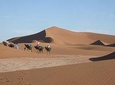 Southern Morocco Travel and Camel Trek from Marrakech to Mhamid for 8 days