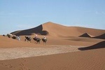 Southern Morocco Travel and Camel Trek from Marrakech to Mhamid for 8 days