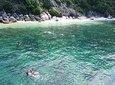 Speed Boat and Snorkeling in Chàm Island 