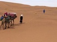 Camel Trekking the 'Gateway to the Desert'