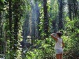 Private Bird watching and Nature trekking in Udawatta Kele Sanctuary