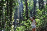 Private Bird watching and Nature trekking in Udawatta Kele Sanctuary