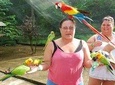 Private Customizable St Ann & Ocho Rios Nature Tours