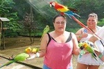 Private Customizable St Ann & Ocho Rios Nature Tours