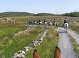 Horse riding - Mountain Trail. Lisdoonvarna, Co Clare. Guided. 2 hours.