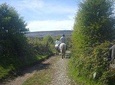 Horse riding - Dirt Trek Trail. Lisdoonvarna, Clare. Guided. 1 hour.