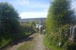 Horse riding - Dirt Trek Trail. Lisdoonvarna, Clare. Guided. 1 hour.