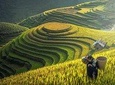 Sapa 2days 1night by bus
