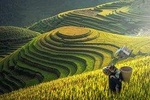Sapa 2days 1night by bus