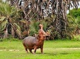 Full- Day Trip to Tarangire National Park From Arusha