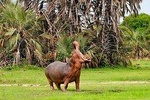 Full- Day Trip to Tarangire National Park From Arusha