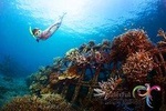 Have fun one day in Nusa Penida: snorkeling, seawalker and Lembongan tour