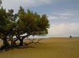 3 days - Erg Ezzahar experience In the footsteps of the nomads