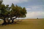 3 days - Erg Ezzahar experience In the footsteps of the nomads
