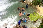  Dunns River Falls Day Tour