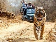 6 Days Golden Triangle with Ranthambore, Ajmer & Pushkar Tour