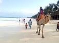 4 Days Diani Beach Holiday Package with SGR