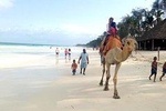 4 Days Diani Beach Holiday Package with SGR