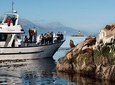 Beagle Channel navigation with mini trekking by Patagonia Explorer