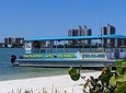 Clearwater Encounters with Dolphins Tour